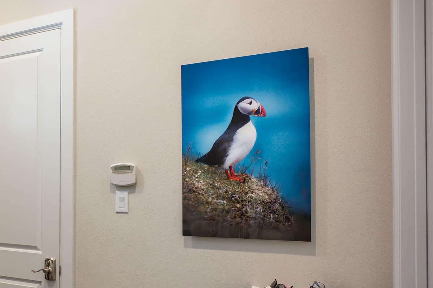 Encounter, Puffin print hanging in an entryway