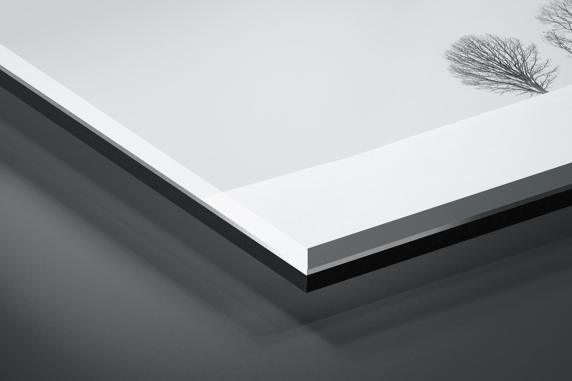 Fine art limited edition acrylic print of Parent-Child-Trees in Biei , Japan by Brent Goldman Photography