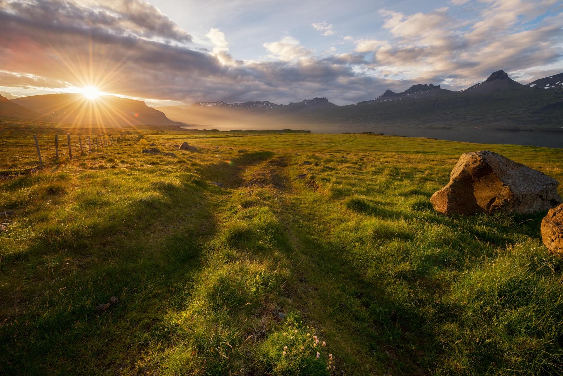 Photograph of Sunburst Meadow in Djupivogur, Iceland by Brent Goldman Photography