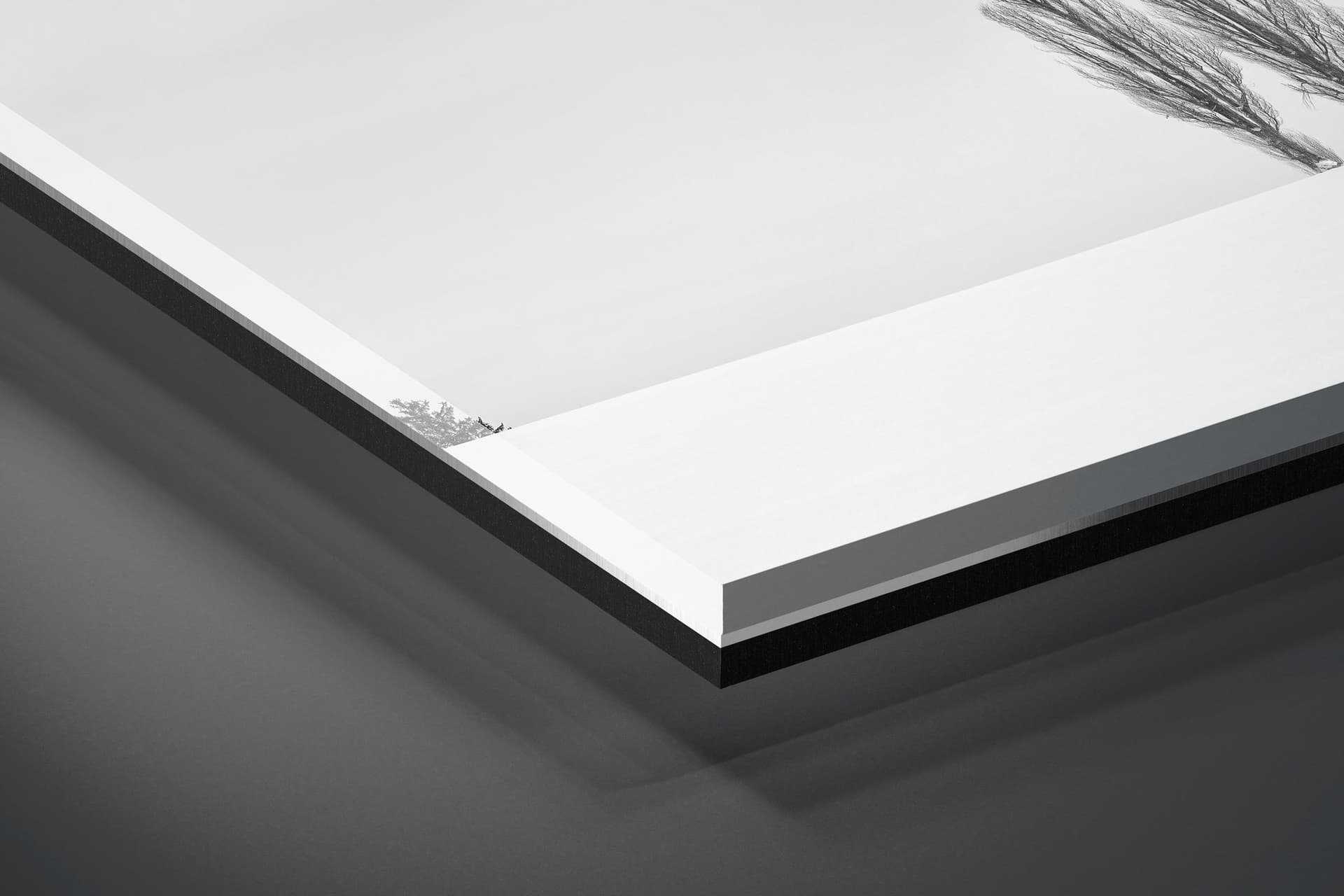 Fine art limited edition acrylic print of Trees in Biei, Japan by Brent Goldman Photography