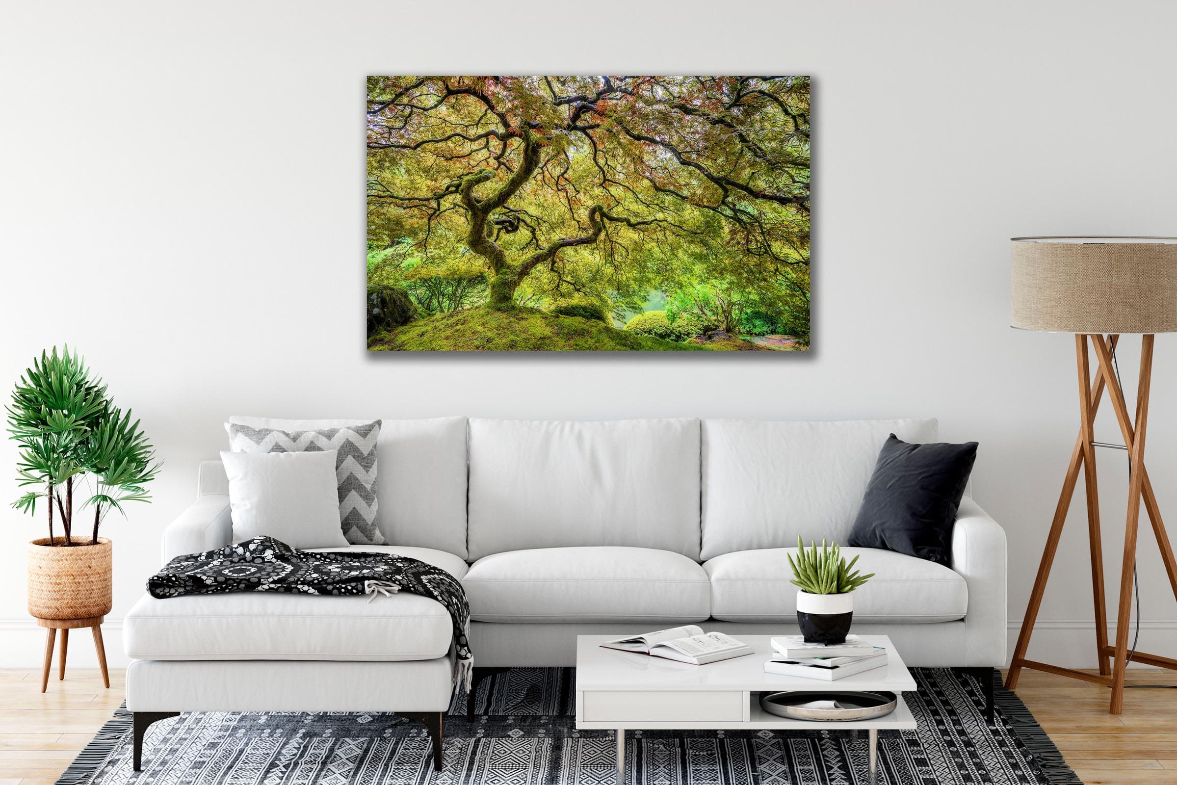 Wall art of Japanese Maple in Portland, Oregon by Brent Goldman Photography