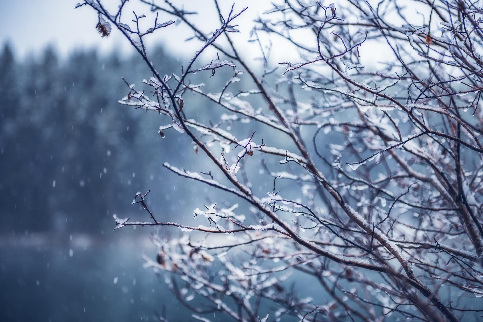 Photograph of Winter Wonderland in Banff, Canada by Brent Goldman Photography