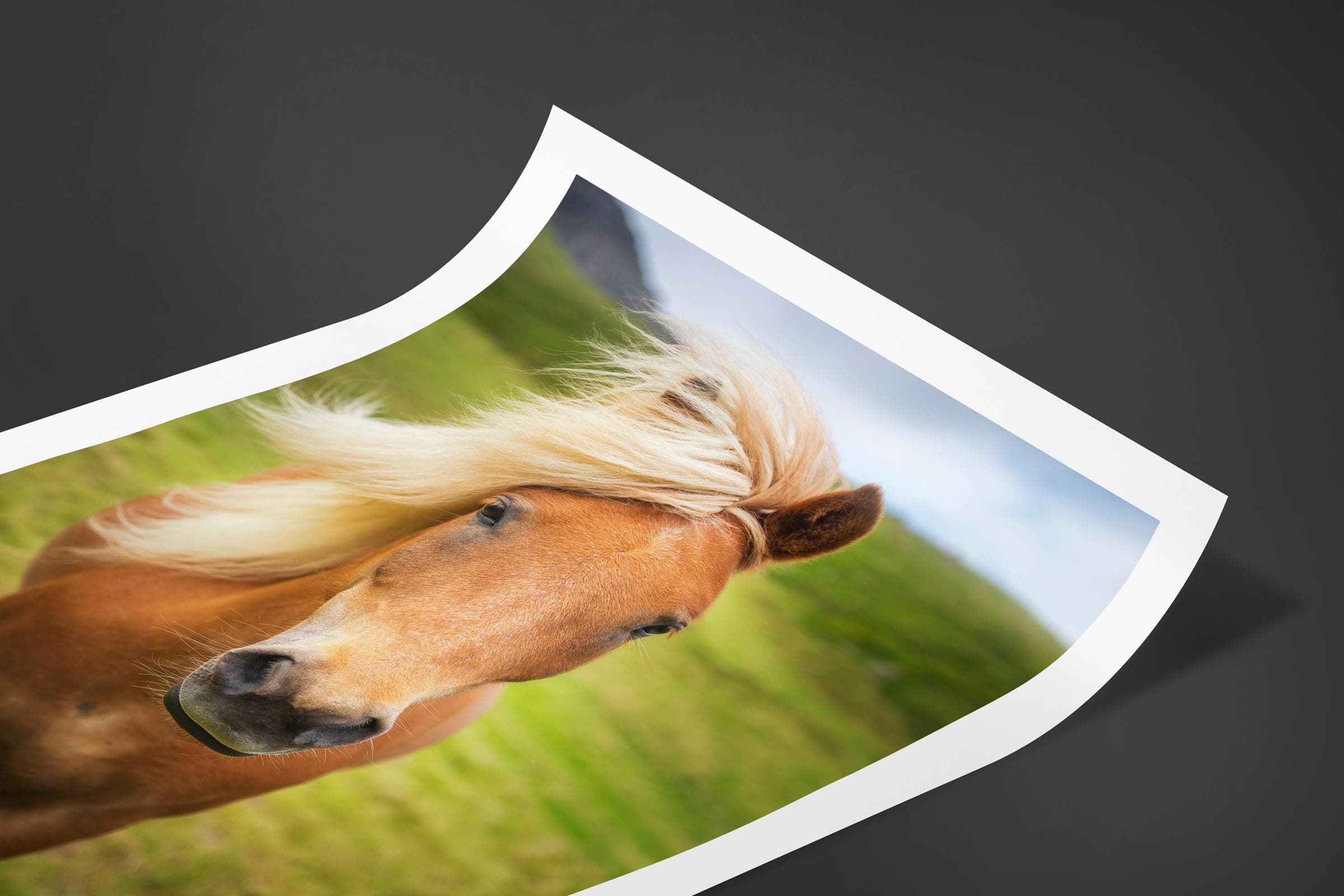 Fine art limited edition print of Horse in Gasadalur, Faroe Islands by Brent Goldman Photography