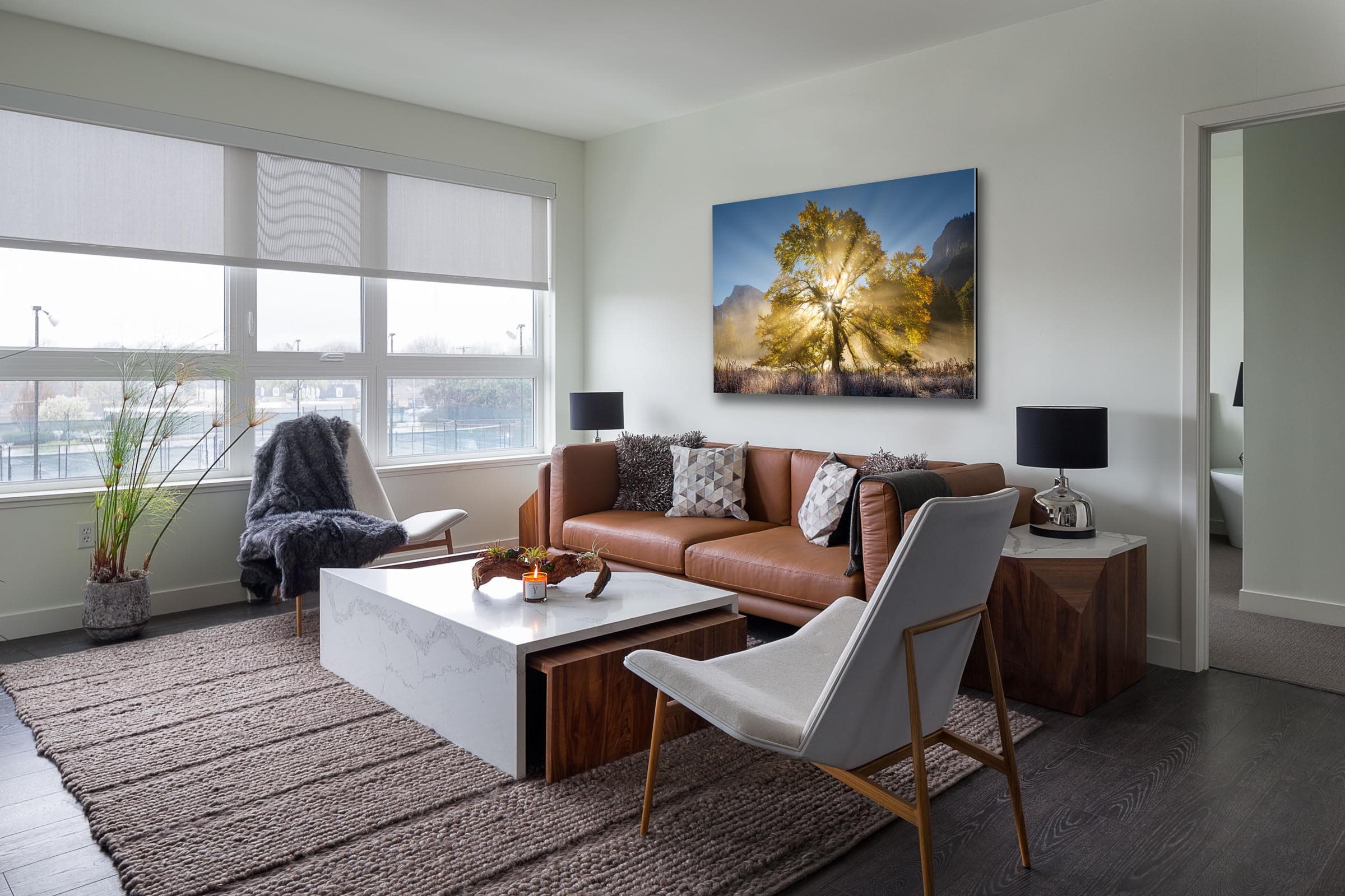 Wall art of Oak Tree in Yosemite, California by Brent Goldman Photography