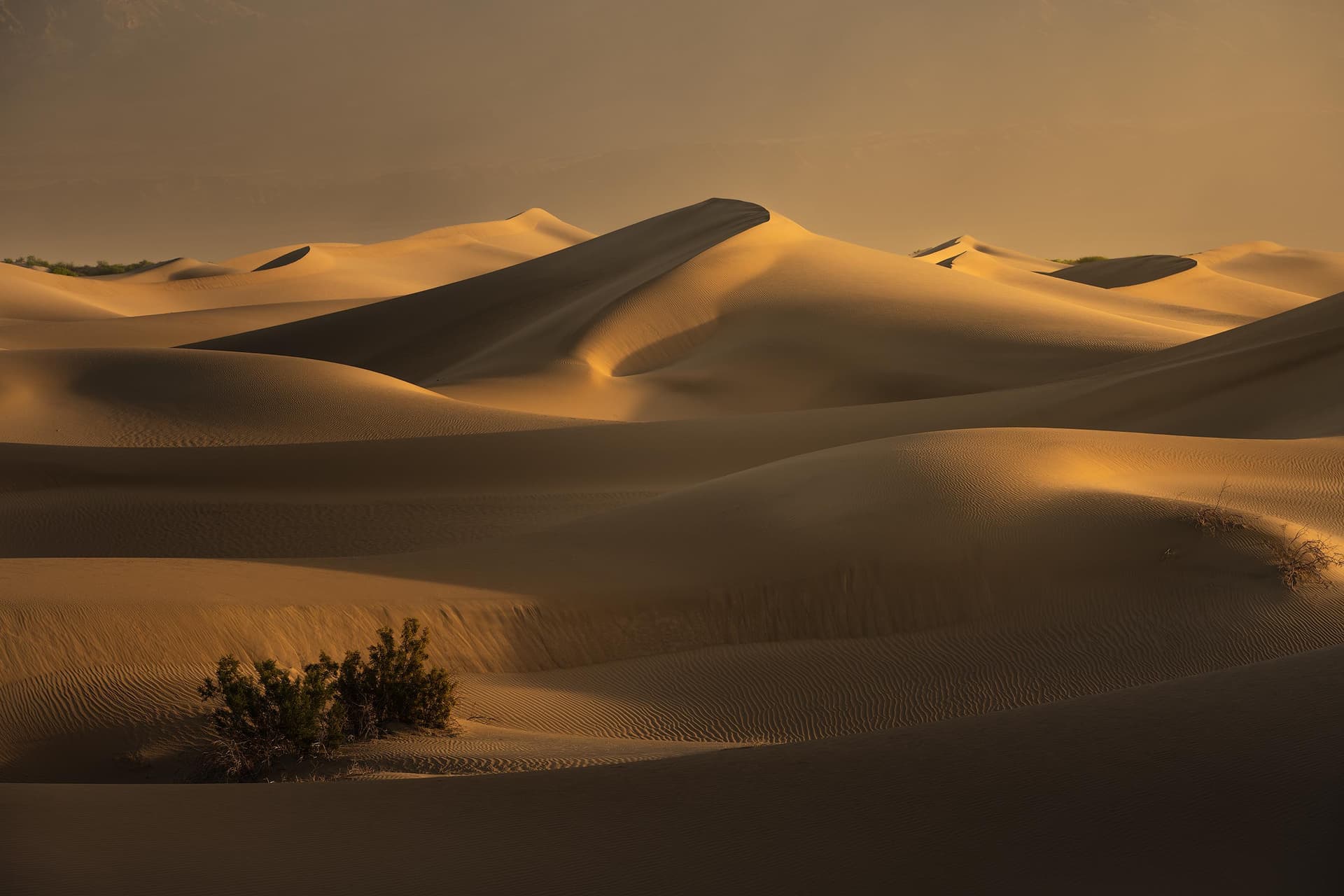 Photograph of Mesquite Flat Sand Dunes in Death Valley, California by Brent Goldman Photography