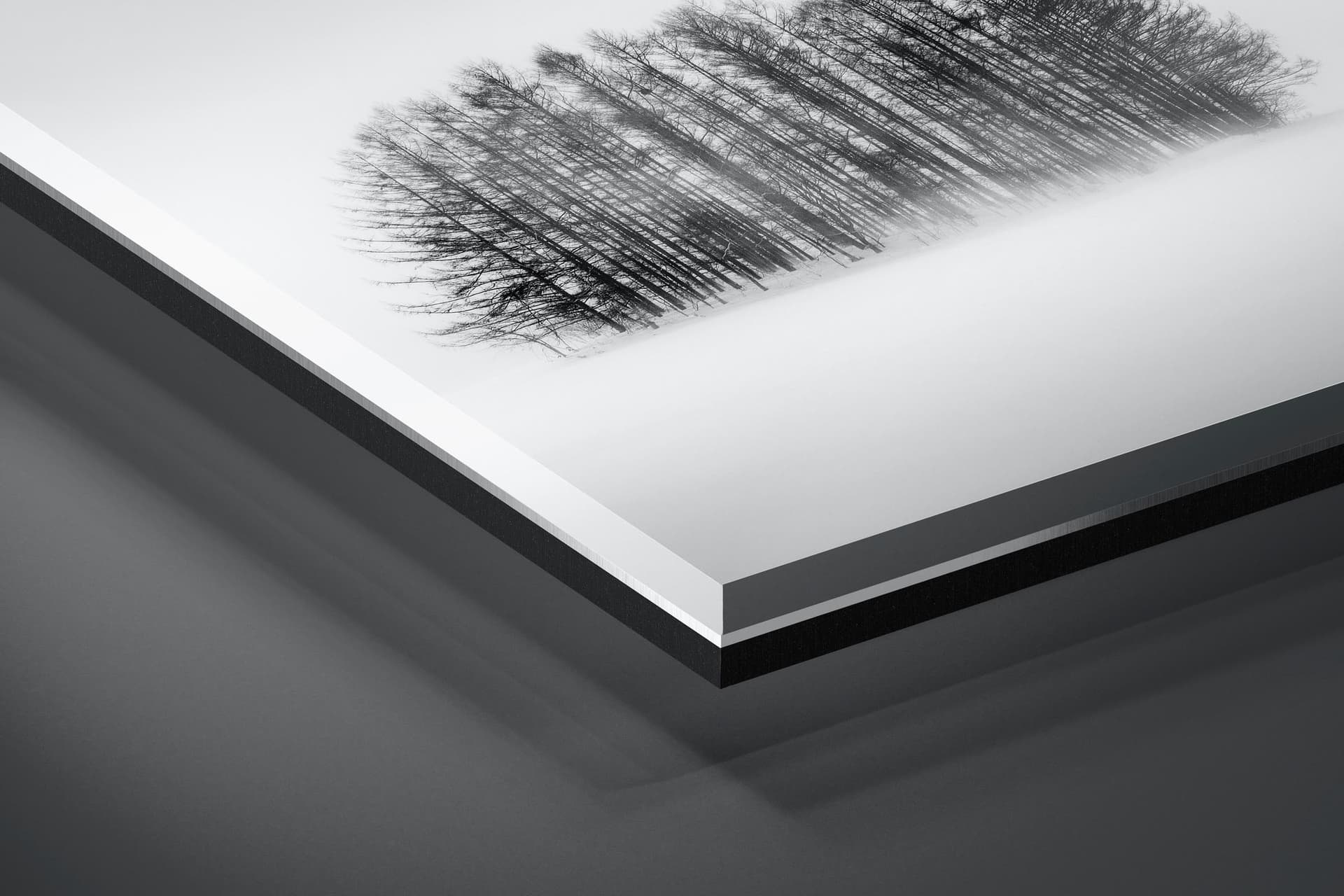 Fine art limited edition acrylic print of Trees in Biei, Japan by Brent Goldman Photography